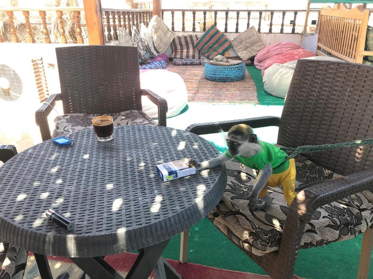 Gina Motel Dahab Eksteriør bilde